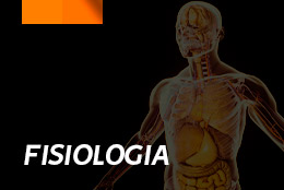 Fisiologia